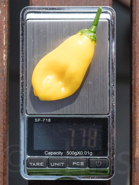 60959