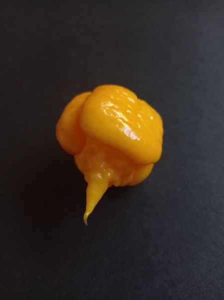 68916