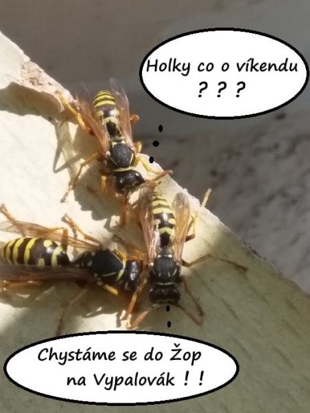 76200