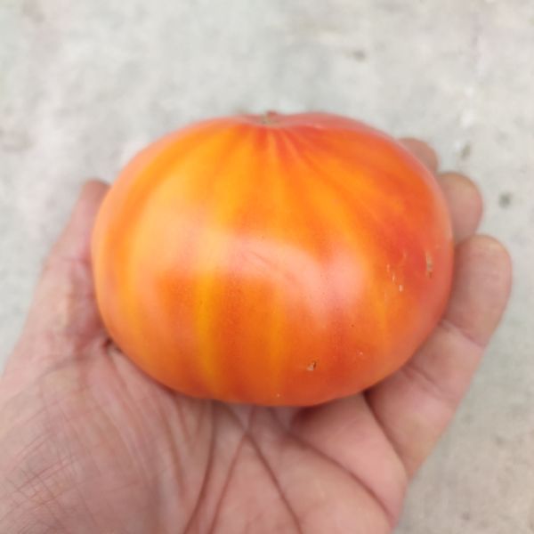 85735