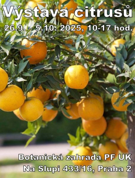 85736