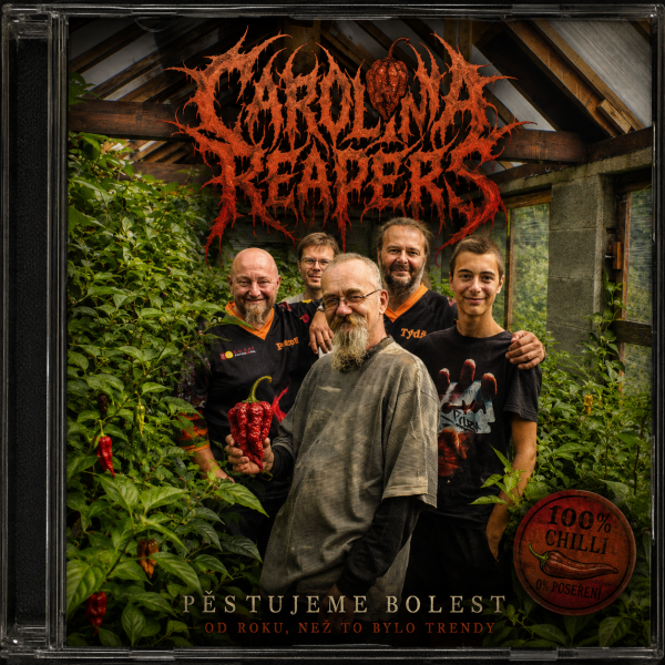 86286