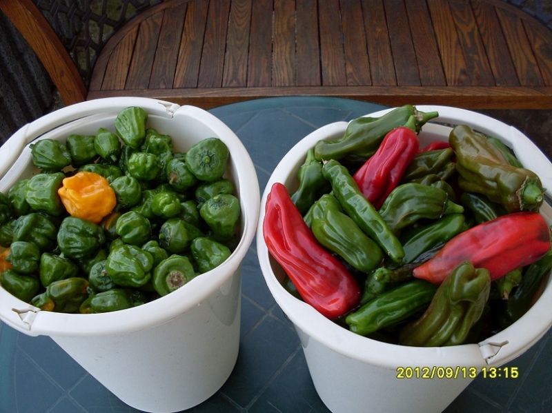 2012chili