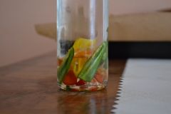 DSC 0043