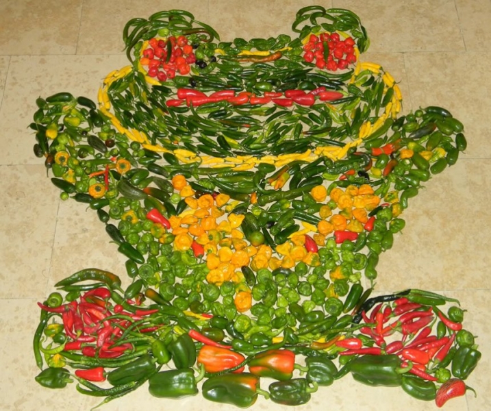 pp6