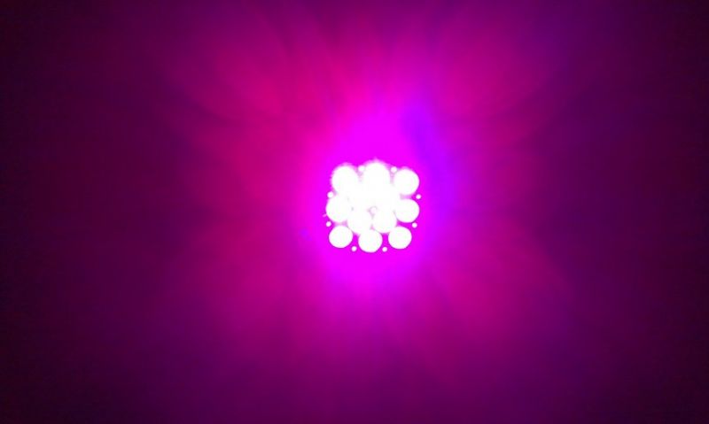 IMAG0245