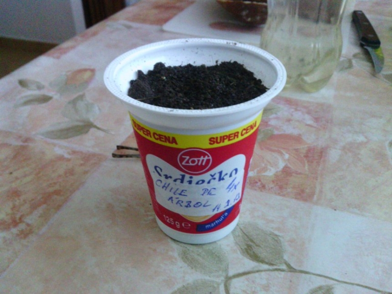 IMG 20130215 154849