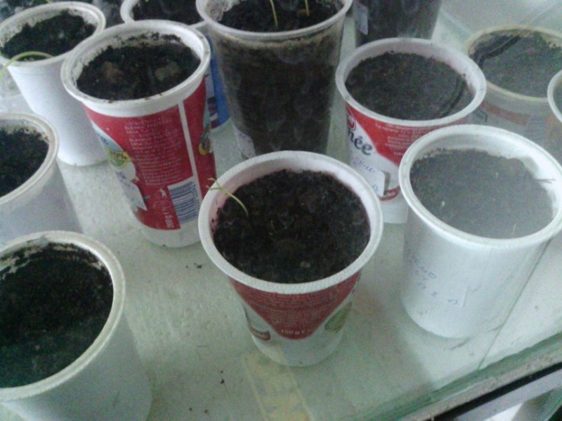 IMG 20130227 160308