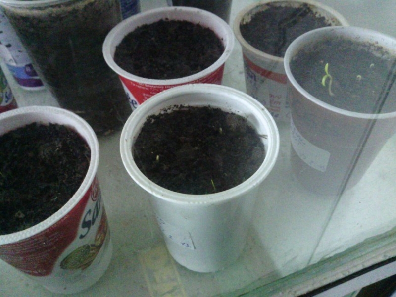 IMG 20130227 160322