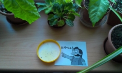 IMAG0314