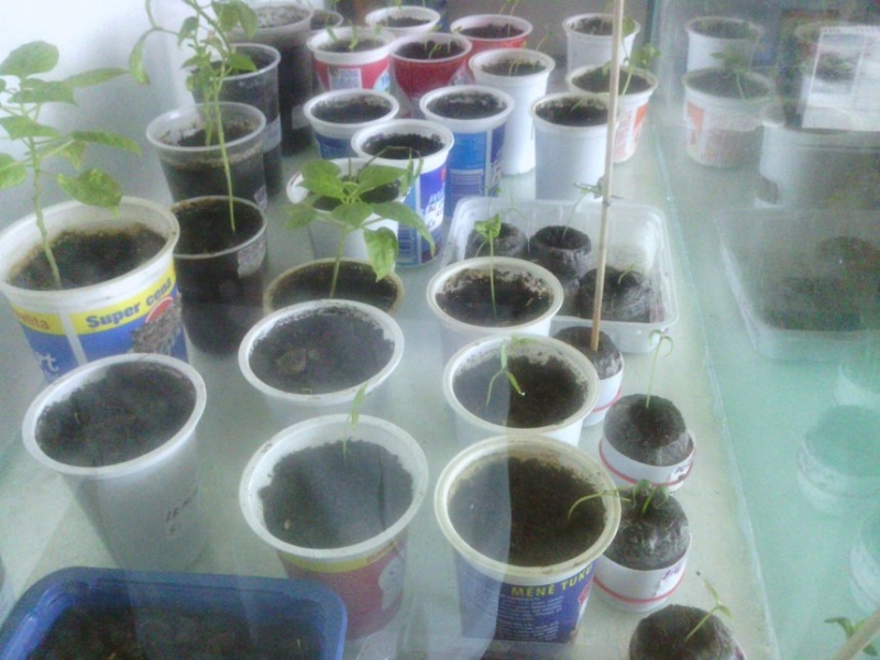 IMG 20130303 104022
