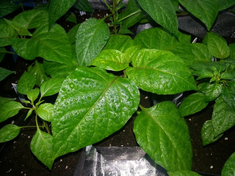 20130311 230330