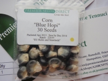 Hopi blue corn