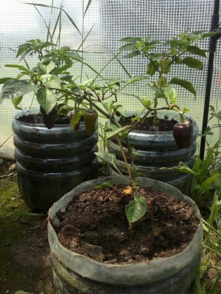 2013-07-07-327