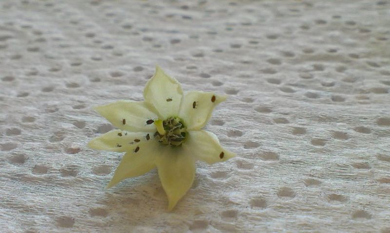 IMAG0487
