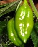 DSCN2193