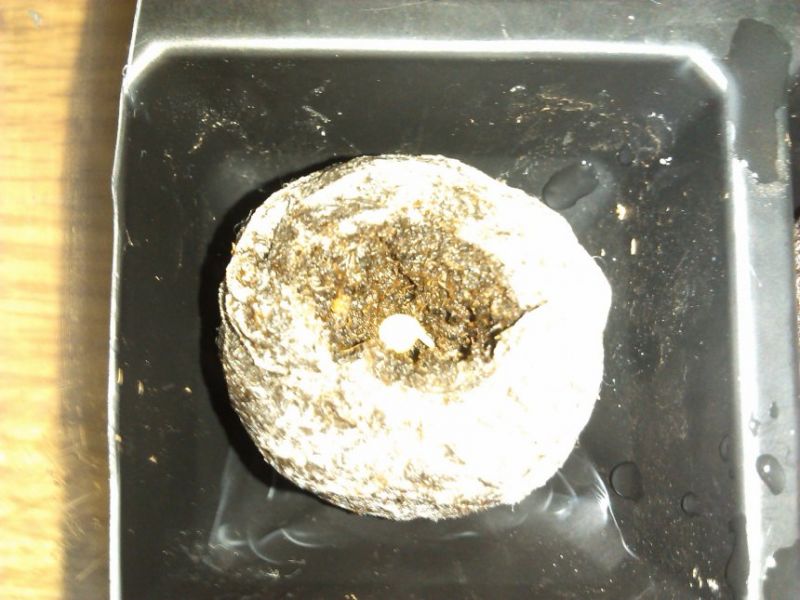 IMG 20131019 132003
