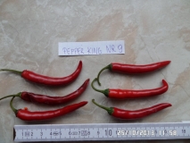 Pepper King nr.9