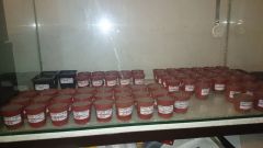 DSC 0048