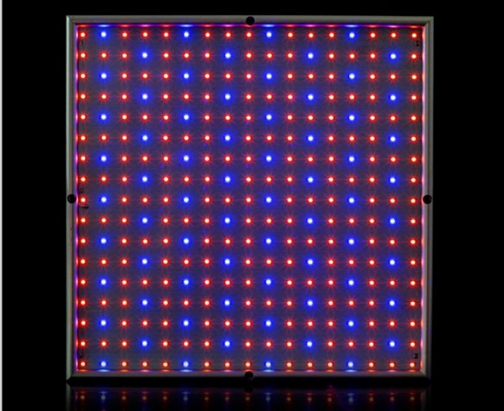 grow light