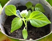 un5
