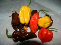 Mix