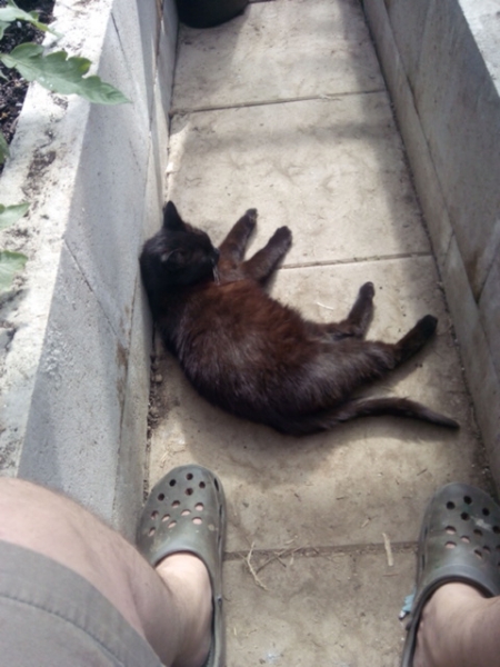 IMG 20140606 090355