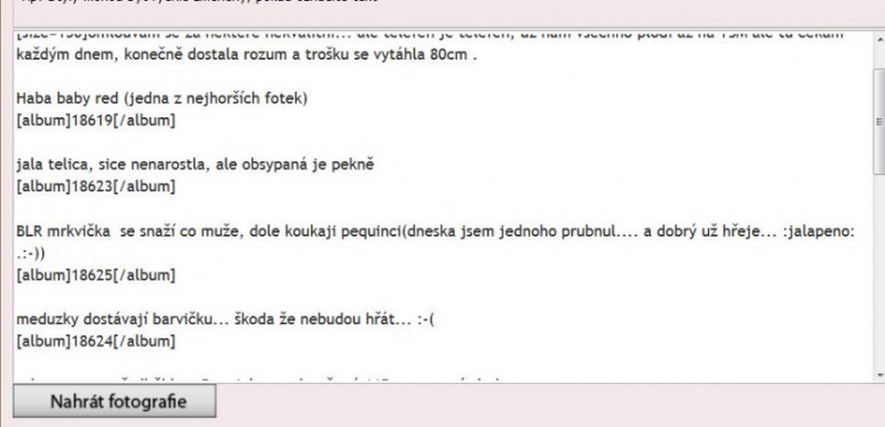 FOTKY VE FORU...