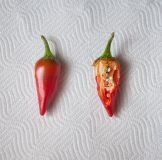 jalapeno