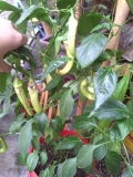 IMG 20140801 145100