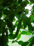 DSC01297