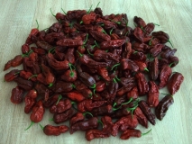 Bhut Jolokia Chocolate