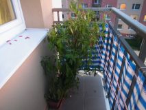 DSCF2539