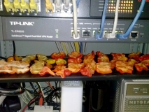 Rack