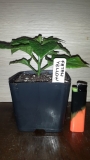 20150312 173147