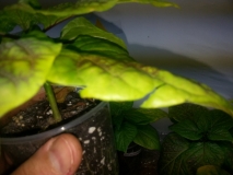 20150330 125952