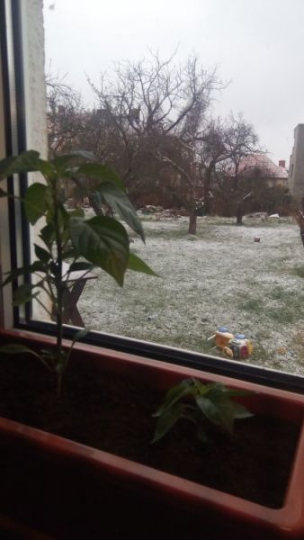 Bože.