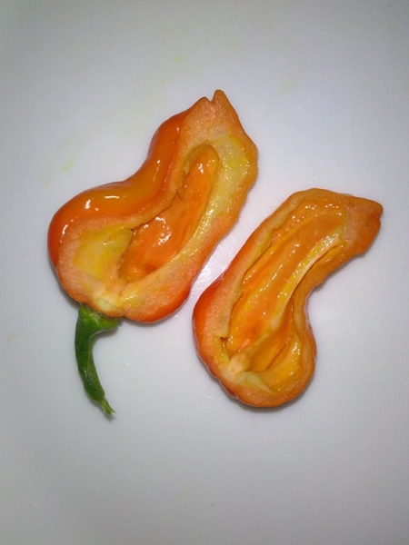 7Pot vejpůl :)