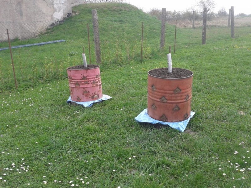 Paprikosudy ďábelské