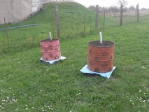 Paprikosudy ďábelské