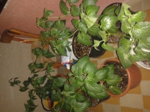 20150426 204132