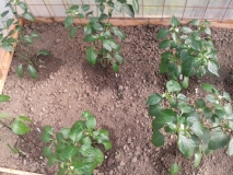 20150507 095103