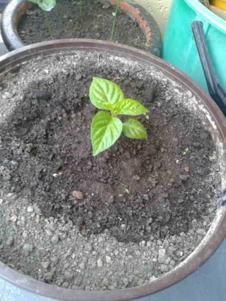 20150524 161730