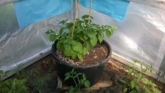 WP 20150612 10 14 14 Pro