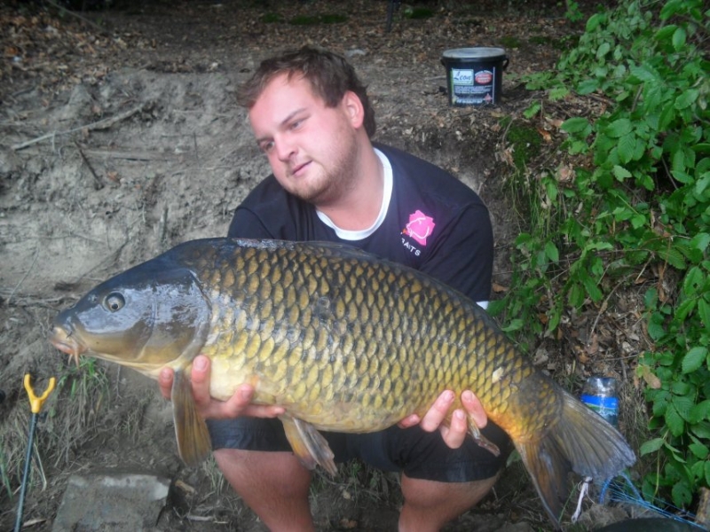 SAM 2559