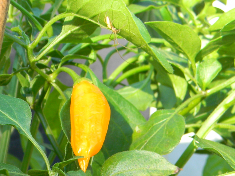 05