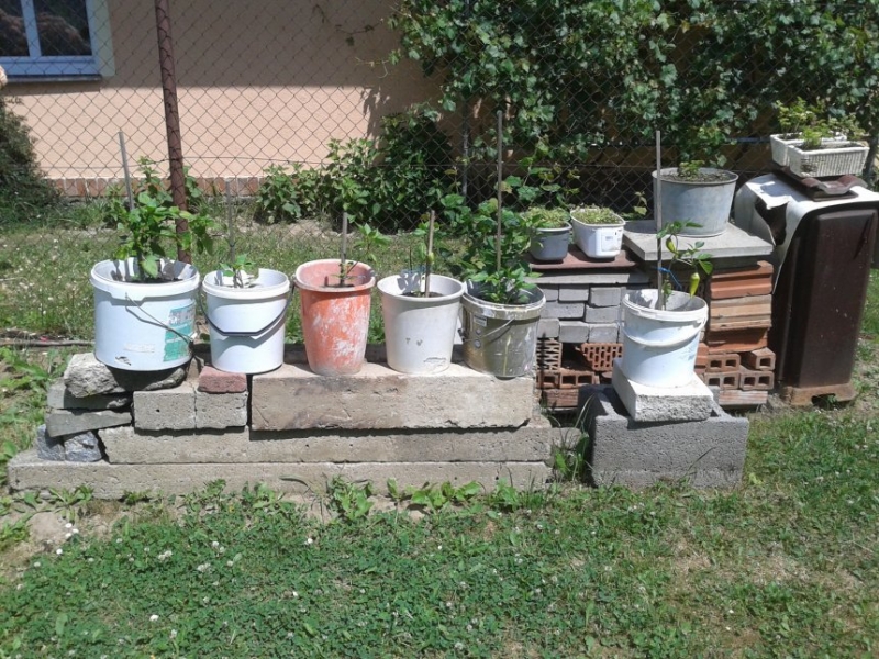 20150710 124323
