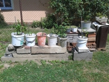 20150710 124323