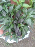 20150713 153325