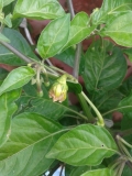 20150803 154940